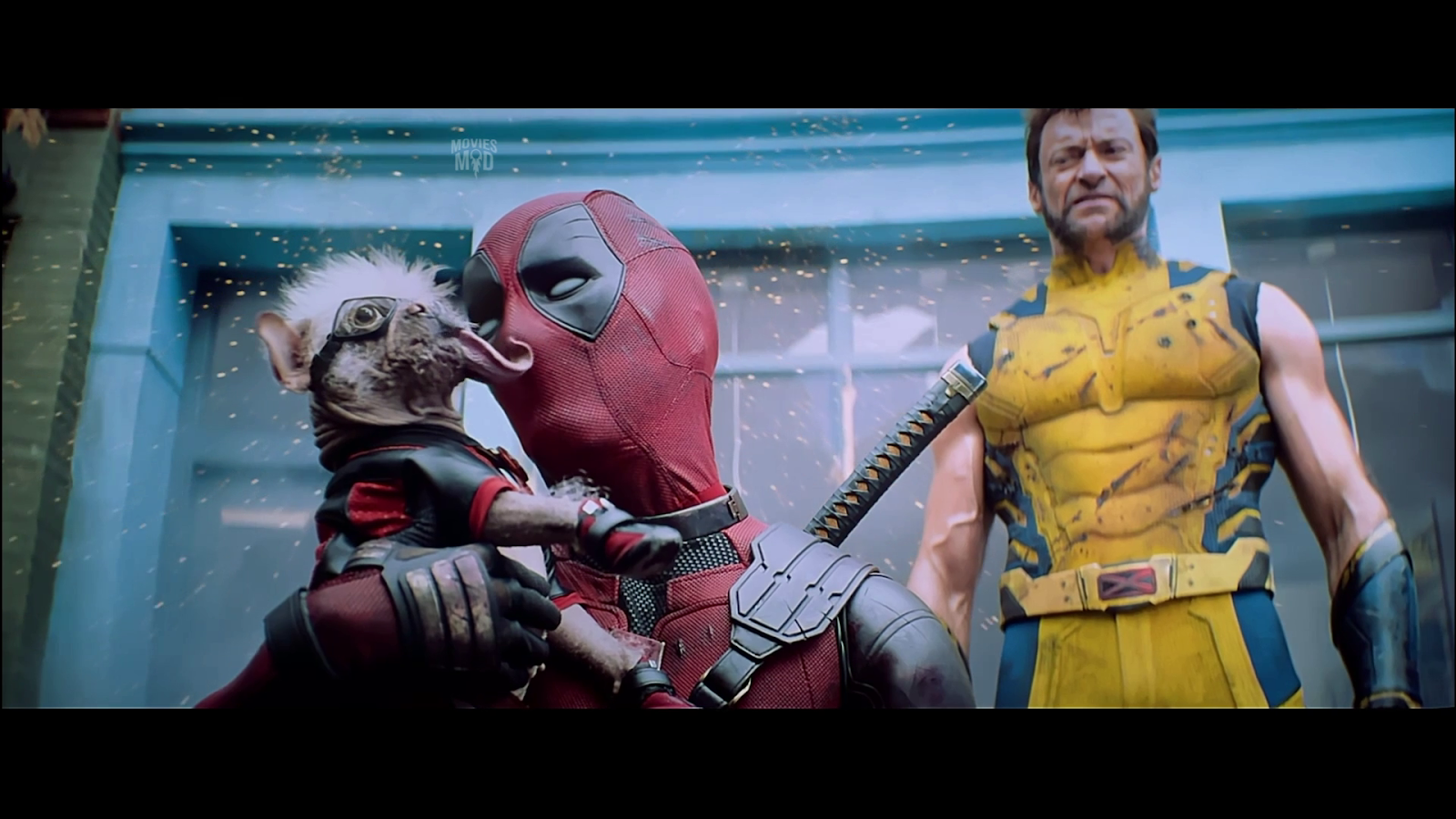 Deadpool And Wolverine 2024 Subtitles In Hindi Sena Xylina